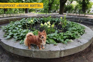 У львівському парку облаштували «Квітковий фонтан»