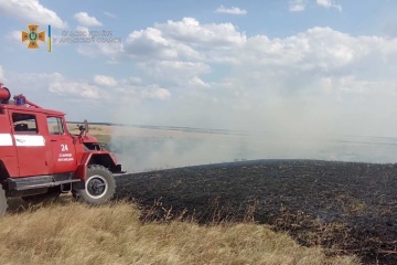 Вогонь винищив майже 20 гектарів сухої трави на Луганщині