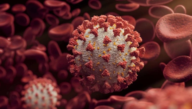 В Южной Африке обнаружили новый штамм коронавируса