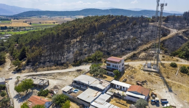 У Туреччині вигоріли 30 гектарів лісу в курортній зоні