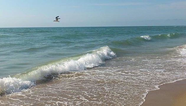 Морська вода у курортній Затоці непридатна для купання - МОЗ. Новости ...