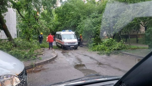 Негода повалила у Києві близько 150 дерев