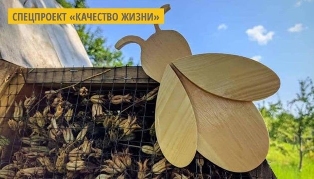 В музее Довженко на Черниговщине создали «отель» для насекомых В музее Довженко на Черниговщине создали «отель» для насекомых