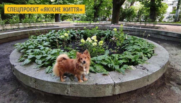 У львівському парку облаштували «Квітковий фонтан»