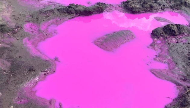 На Рівненщині з’явилися калюжі з рожевою водою