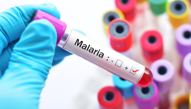 Пандемія коронавірусу спричинила поширення малярії - ВООЗ