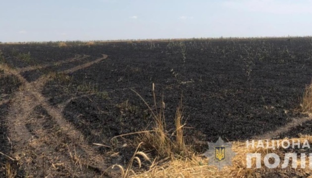 На Одещині вогонь знищив 13 гектарів пшеничного поля
