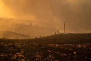 У Чилі вирують лісові пожежі: п’ятеро загиблих