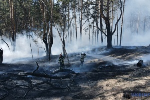 Цьогоріч виникло понад 3770 пожеж у екосистемах - рятувальники назвали основну причину