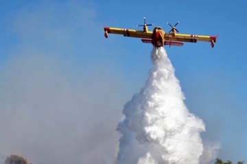 В Італії за добу загасили понад 800 лісових пожеж