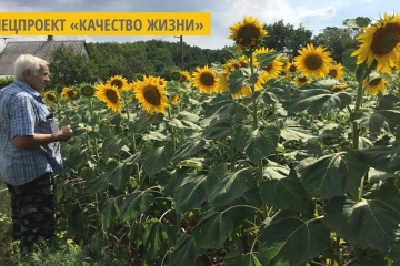 На Луганщине пчеловод создает «медовый конвейер»
