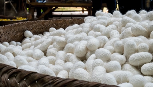 Ucrania iniciará la producción de seda con empresarios uzbecos