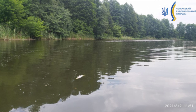 На Черкащині в річці Рось масово загинула риба