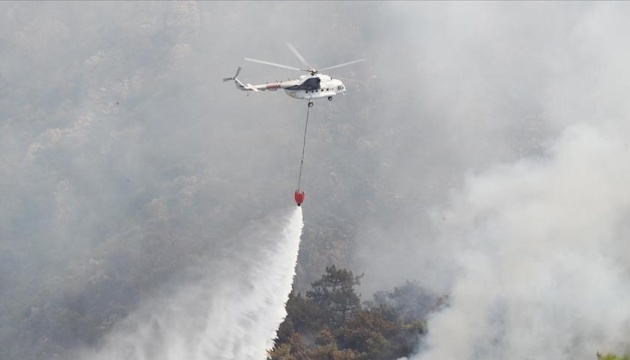 Лісові пожежі в турецькій Анталії майже загасили