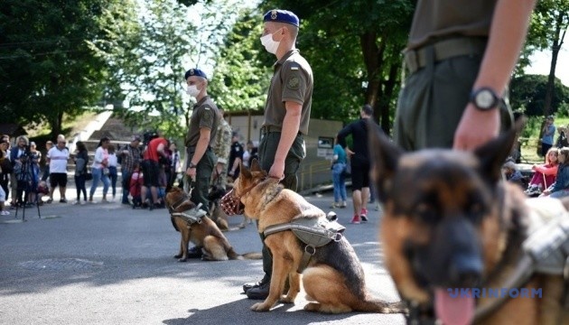 У Львові пройшов парад собак, які боронили схід України