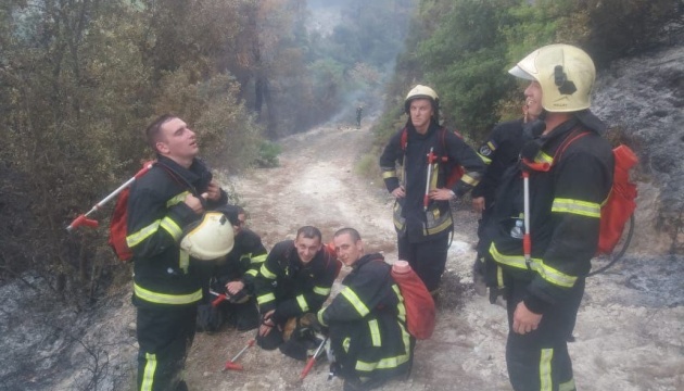 Кулеба: українські пожежники створюють суперпозитивну репутацію в Туреччині і Греції