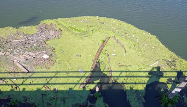Екологи радять не купатися в річці Тетерів, куди потрапили стічні води