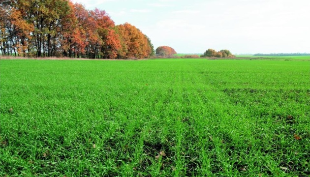 Agrarian policy ministry: 26% of projected area sown with winter grain crops