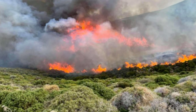 PM Shmyhal expresses support for Greek people in connection with massive wildfires