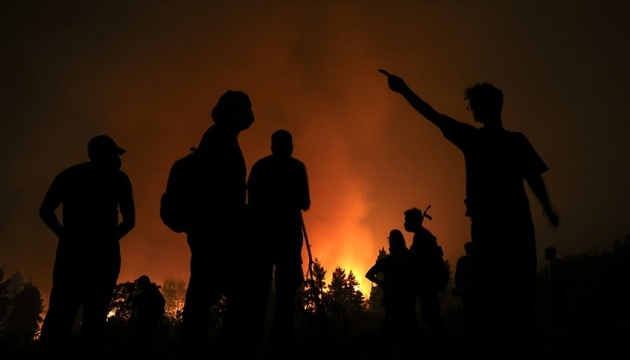 Лісові пожежі в Алжирі вже забрали 65 життів, до гасіння залучили авіацію