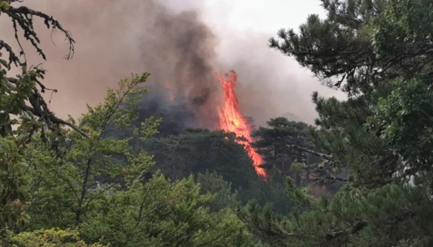 В Італії четверо людей загинули внаслідок лісових пожеж