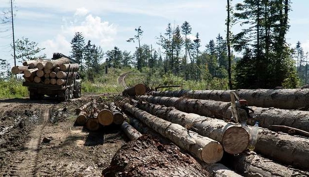 Збитки від екологічних злочинів в Україні перевищують 400 мільйонів
