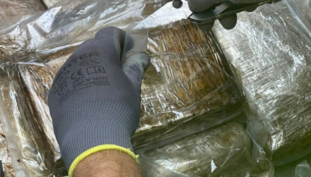 На Одещині знову виявили кокаїн у контейнері з еквадорськими бананами