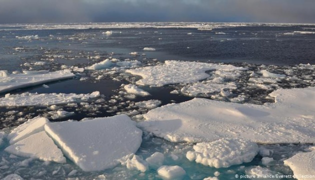 В Арктиці виявили бактерії, здатні розкладати розливи нафти і мазуту
