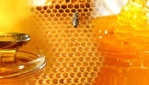 El cambio climático representa la principal amenaza para la apicultura en Ucrania