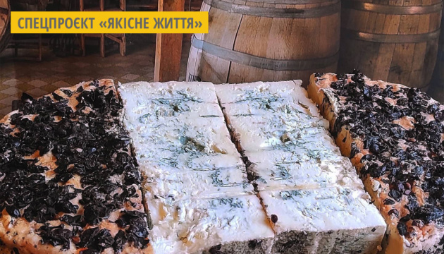 Крафтові сири з білою та блакитною пліснявою виготовляють на Житомирщині 