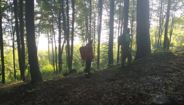 Рятувальники знайшли чотирьох дітей, які заблукали у лісі на Закарпатті