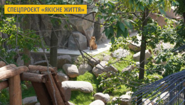 У Харківському зоопарку обмежать кількість відвідувачів заради спокою тварин