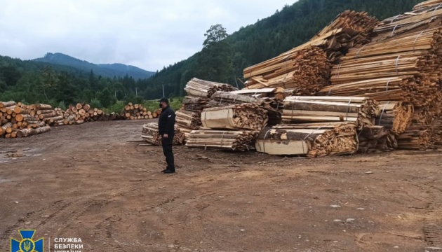 СБУ заблокувала схему продажу лісу із заповідної зони на Буковині