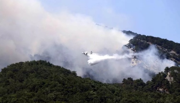 У Туреччині спалахнули нові лісові пожежі