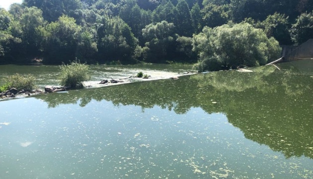 Забруднення річки Тетерів у Житомирі: Держекоінспекція оцінила збитки