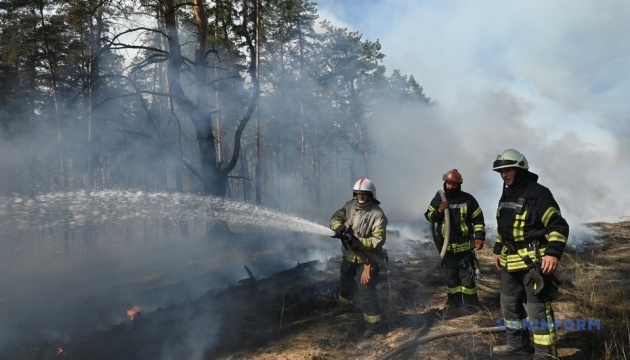 Estalla un incendio forestal en la región de Lugansk