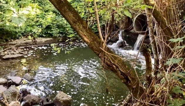 Житомирський водоканал продовжує скидати неочищені стоки в річку Тетерів