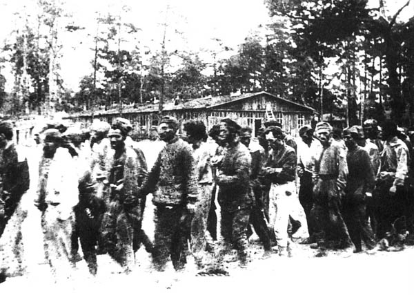Через Дарницький табір пройшло майже 300 тисяч військовополонених солдат і офіцерів Червоної армії, а також місцевих мешканців