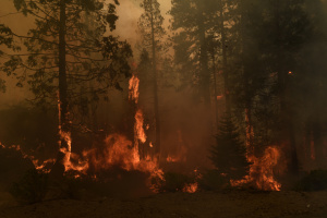 У Каліфорнії через лісову пожежу евакуюють 13 тисяч людей