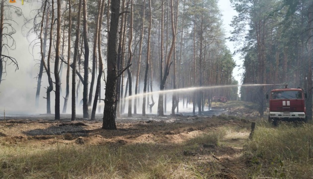 На Луганщині загасили лісову пожежу