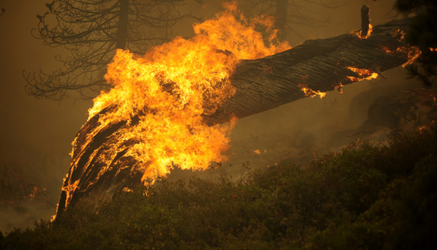 У Каліфорнії спалахнула лісова пожежа, проводиться евакуація