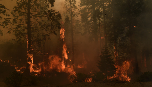 Лісова пожежа в Каліфорнії: кількість жертв зросла до чотирьох