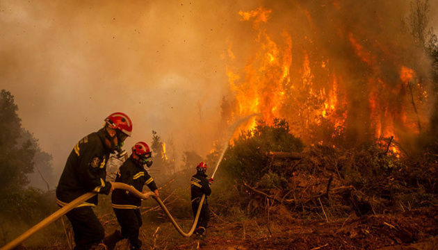 В Іспанії вогонь знищив майже 1000 гектарів лісу - підозрюють підпал