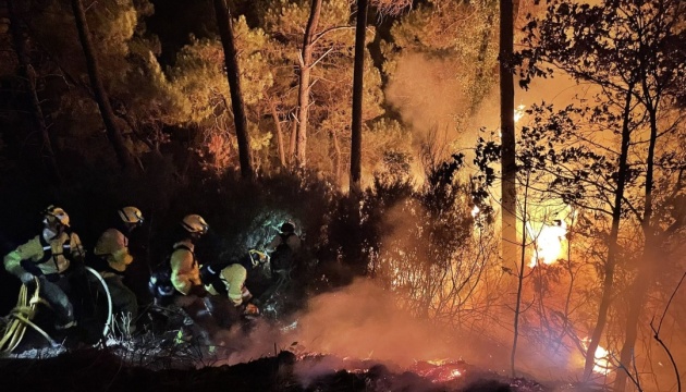 На півдні Іспанії спалахнула масштабна лісова пожежа