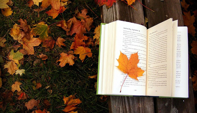 Що почитати восени? «Зелене світло» від Макконагі, «Історія народження людства» та «Чиполіно» без цензури