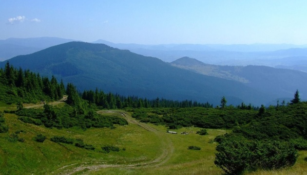 На Прикарпатті знайшли тіло грибника, який зник більш як місяць тому