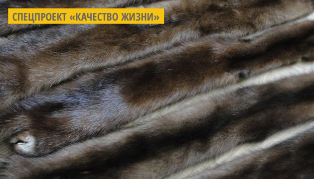 Модные дома Saint Laurent и Brioni откажутся от использования натурального меха Модные дома Saint Laurent и Brioni откажутся от использования натурального меха
