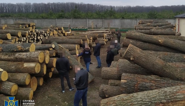 В Україні з початку року засудили понад 40 осіб за незаконний продаж лісових ресурсів