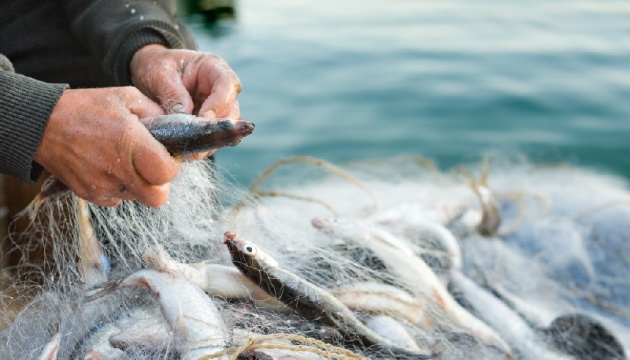 Штрафи за незаконний вилов риби збільшили в десятки разів