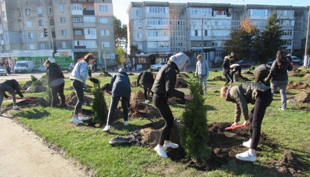 «Зелена країна»: на Рівненщині висадили понад 130 тисяч дерев